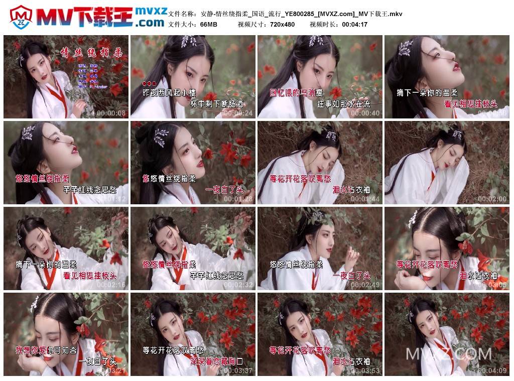 安静-情丝绕指柔_国语_流行_YE800285
